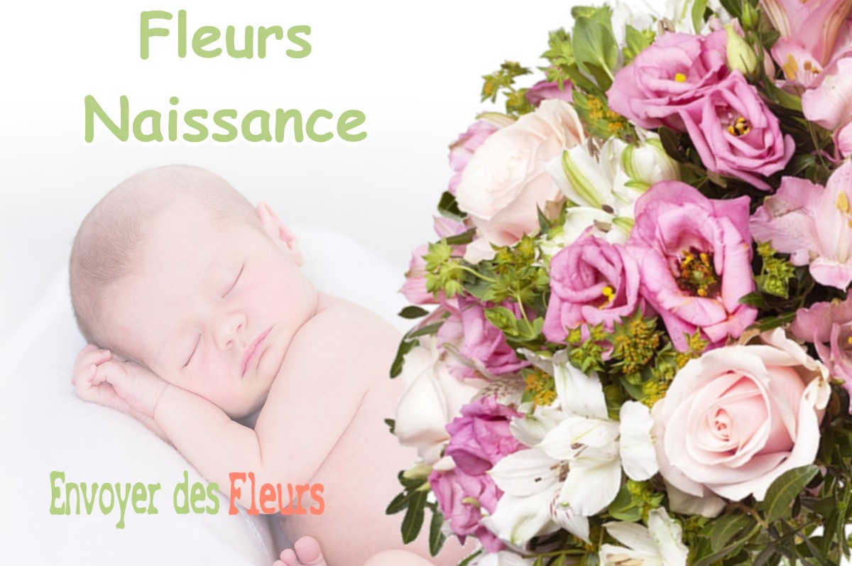 lIVRAISON FLEURS NAISSANCE à VALCABRERE